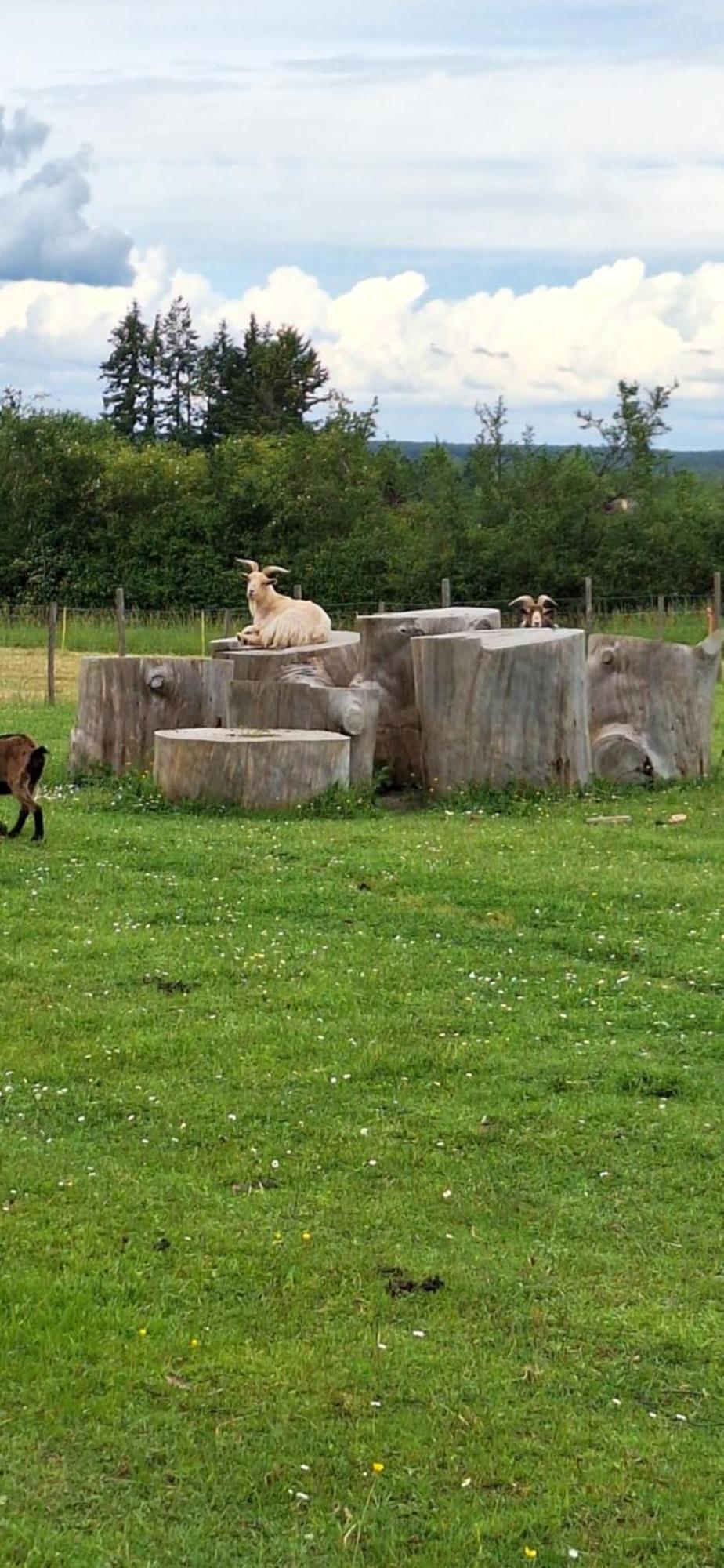 Les Du Tertre Camping 3*