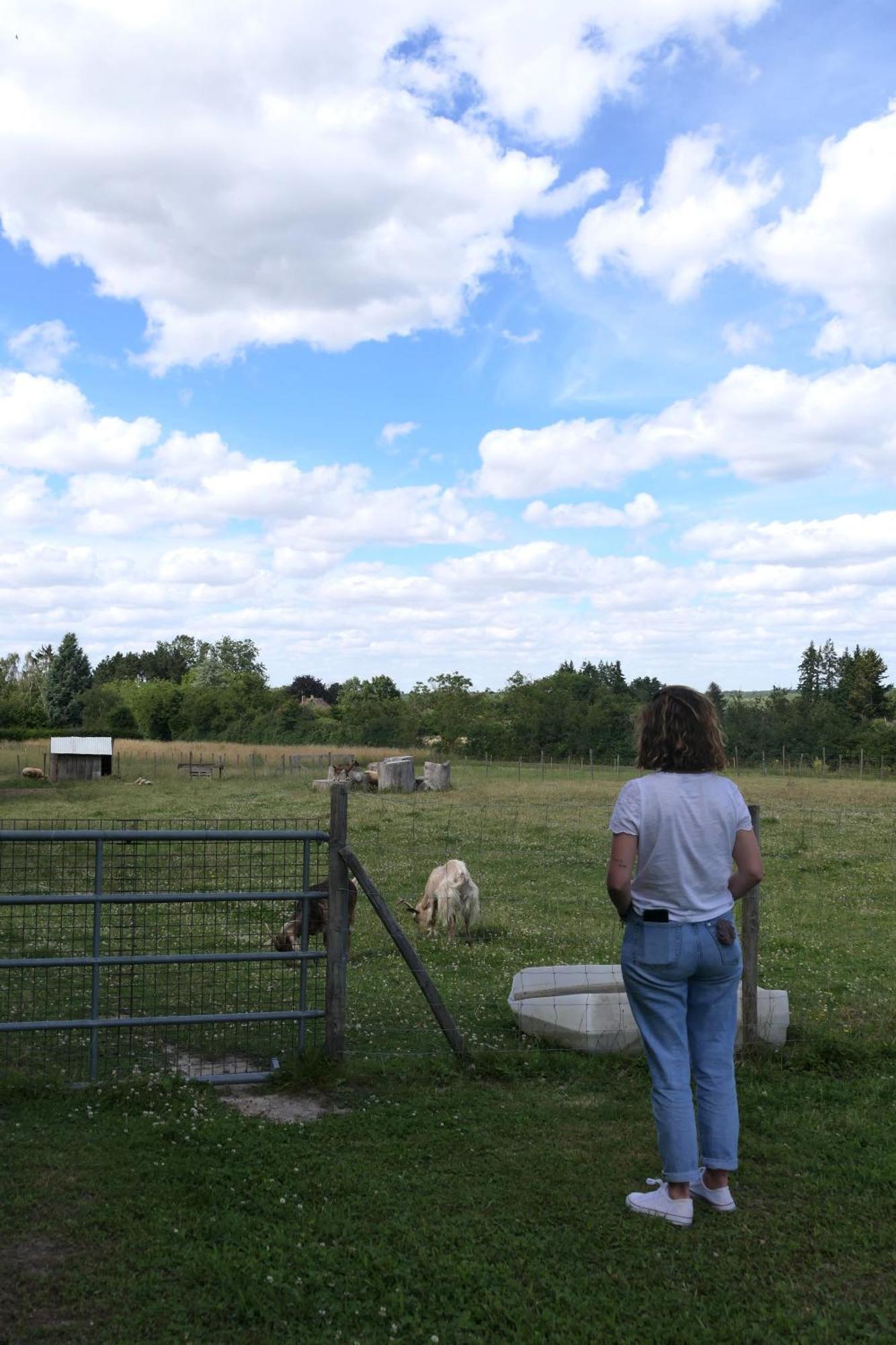 Les Du Tertre Camping Cour-Cheverny